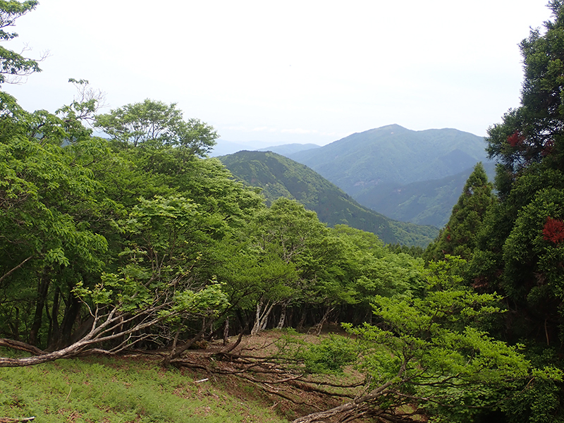6.山頂より武奈ヶ岳を望む