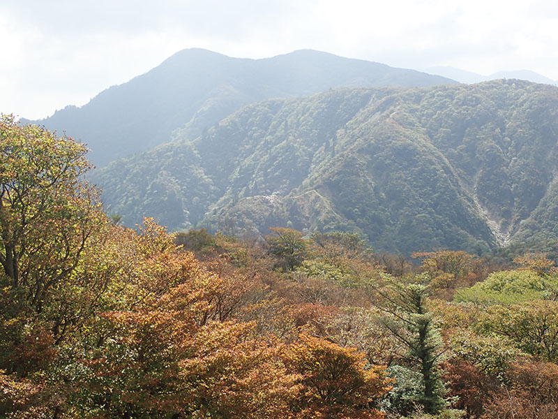 4.釈迦ヶ岳と、シロヤシオの紅葉