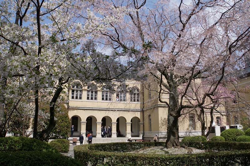 4.府庁　容保桜やはるか桜のある中庭