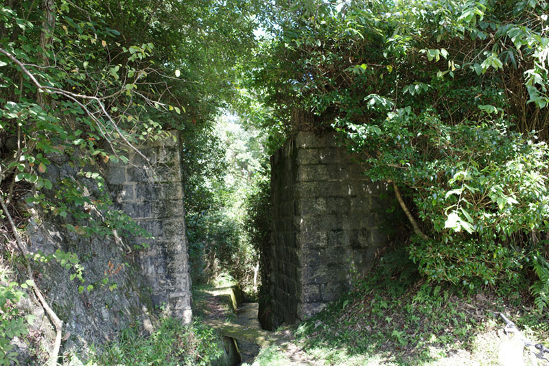 6.���w�R����