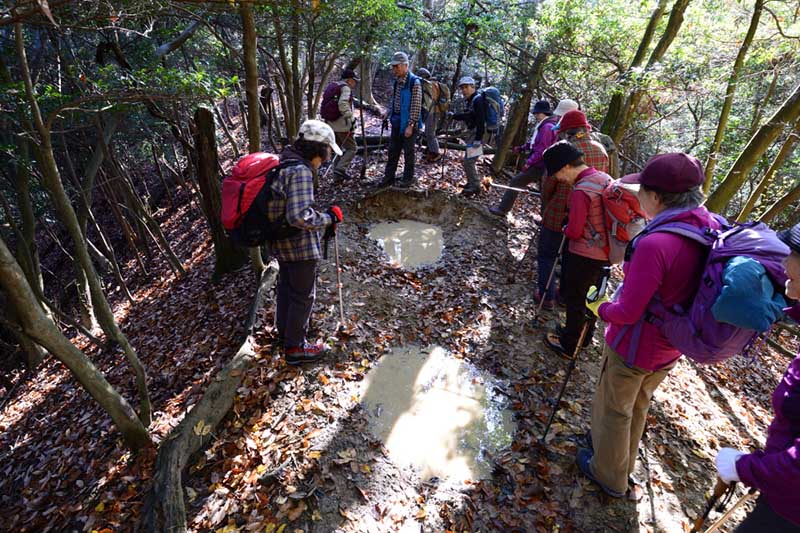 3.�����؂Ƀk�^��