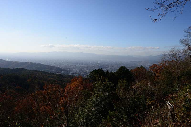 8.�啶���R�R�����