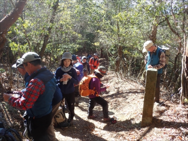 2.12���ŏ��x�~