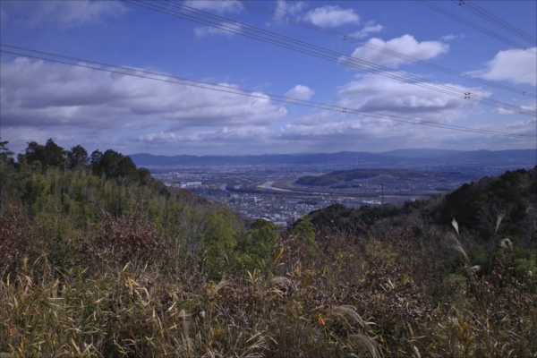 5.����R�썇���_