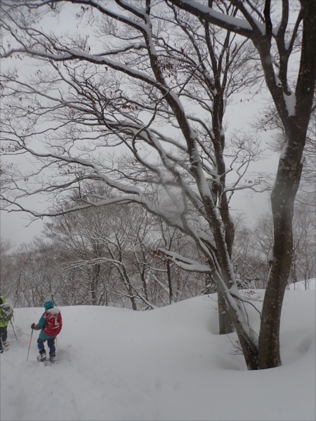 5.����ɑς���u�i