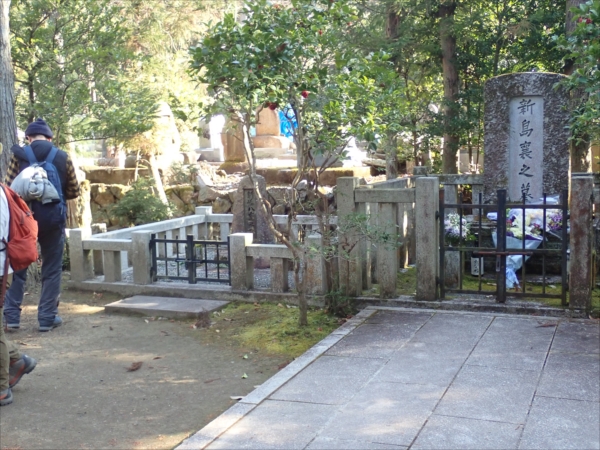 5.�V�����̕�