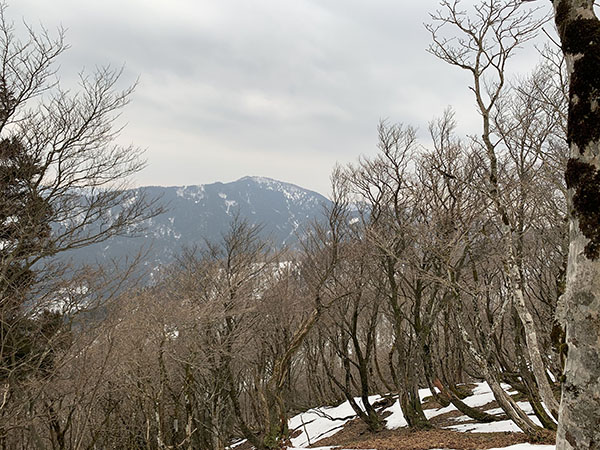 1.�S�����x