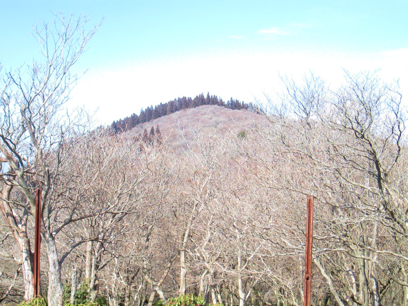 2.���˔���n���R