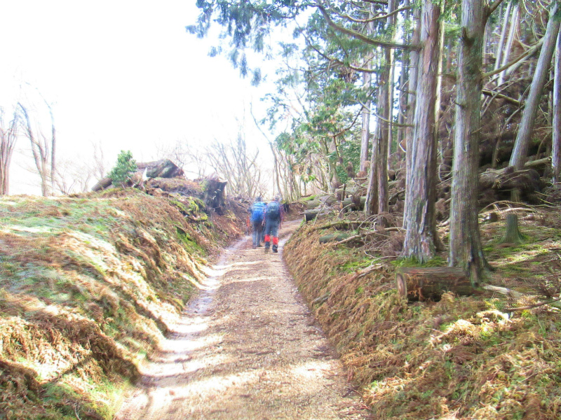 4.�ᖳ���������X�L�[��O