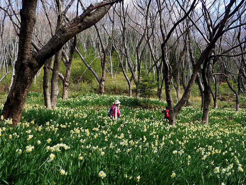 7.���勽 ���̂Q