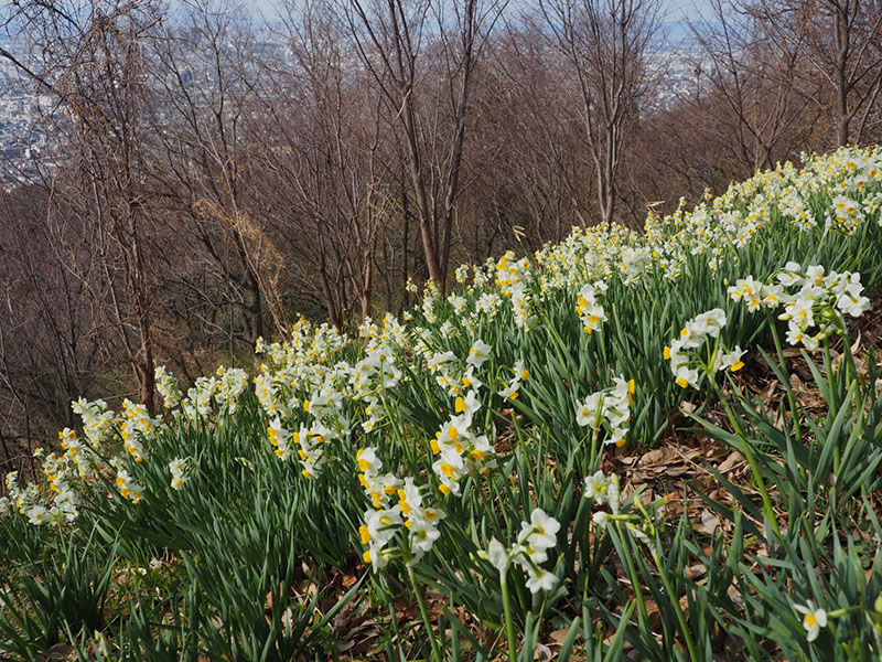 8.����Q��