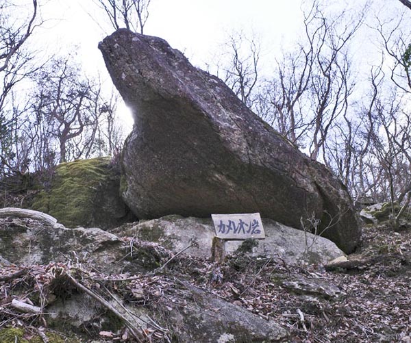 1.�J�����I����