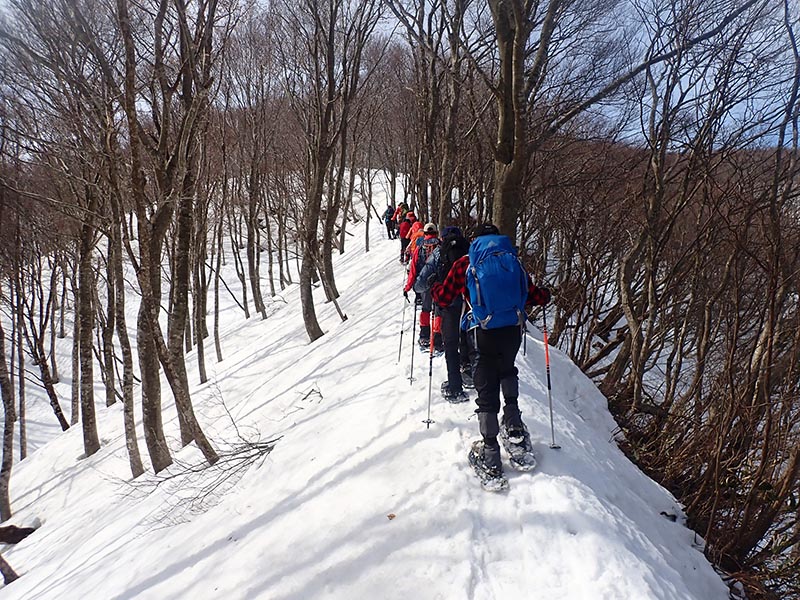 5.�₹�����͏c��ŐT�d��