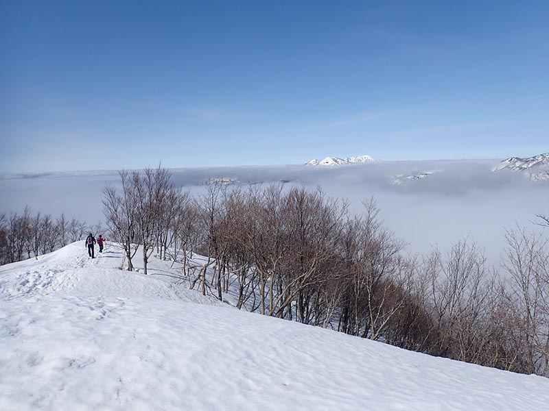 12.����R��q��