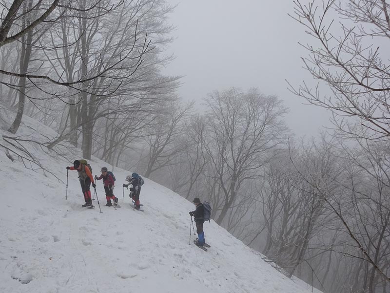 5.�܂��L���̒�