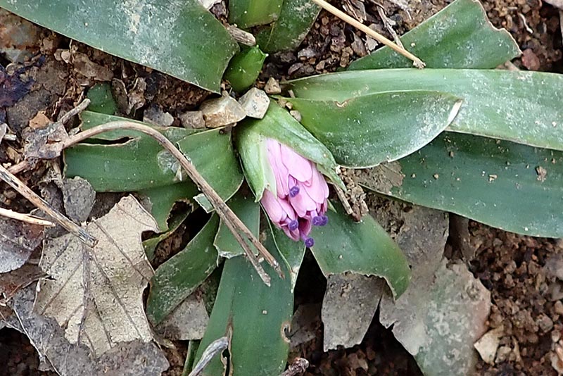 3.�t�̉萁��