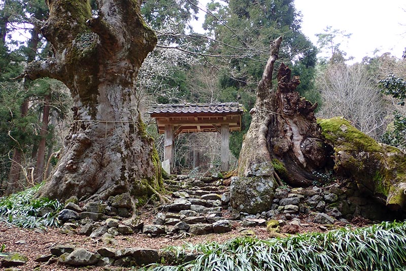 6.��������{