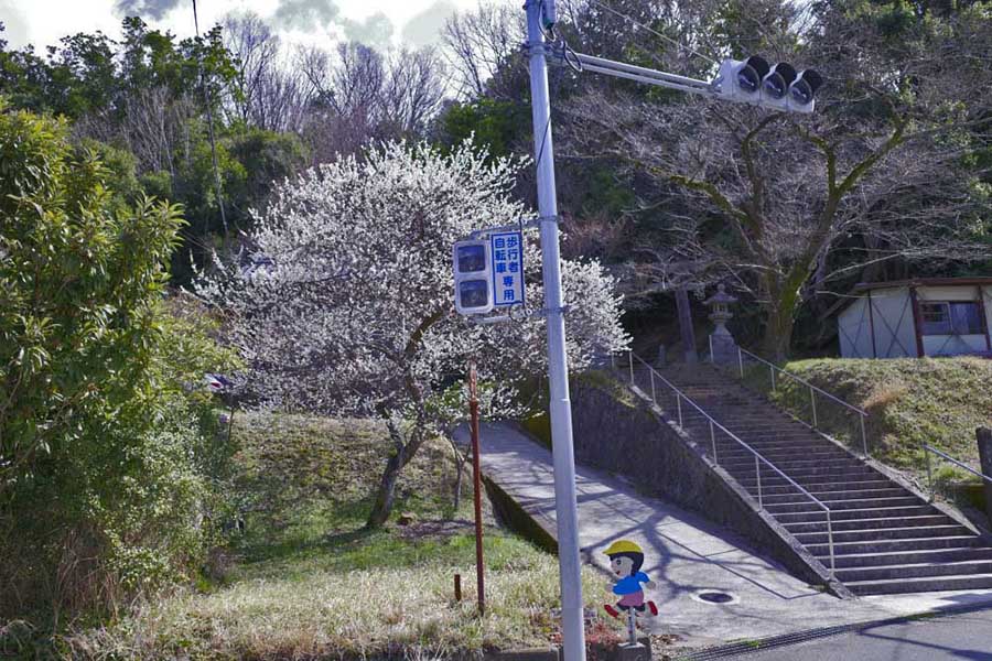 1.�����R�o�R��