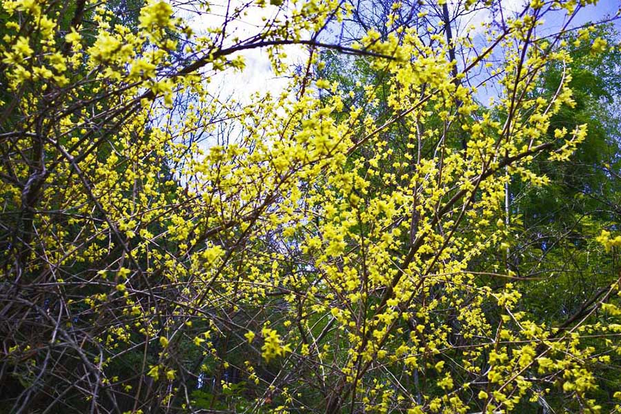 2.�o�R���̉�