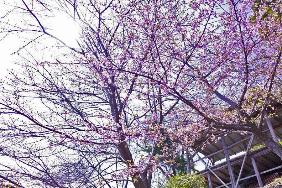 3.�o�R���̍�