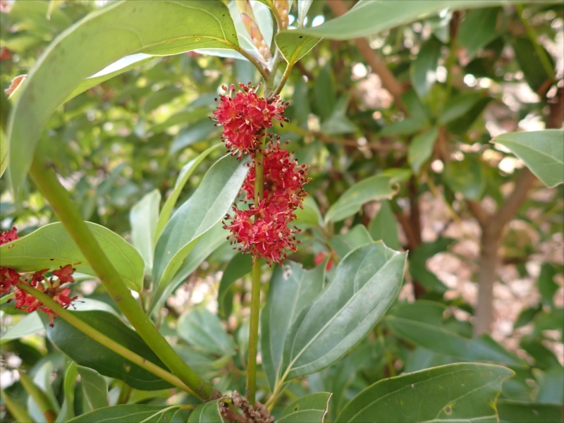 11.�C�k�K�V�̉�