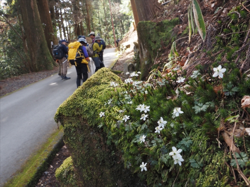 4.�ѓ�����