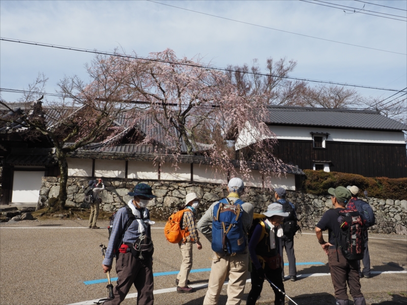 7.���R�A�V�_���U�N��