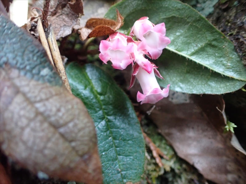 8.�C���i�V