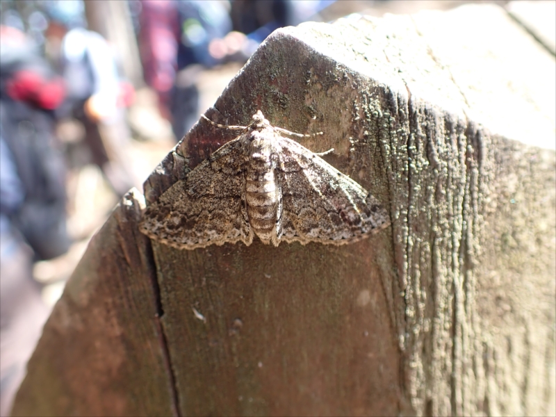 9.�������n�߂���