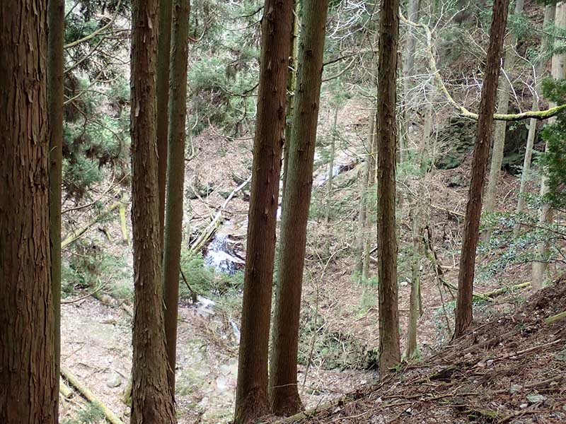 5.��i�̑�܂ł�������