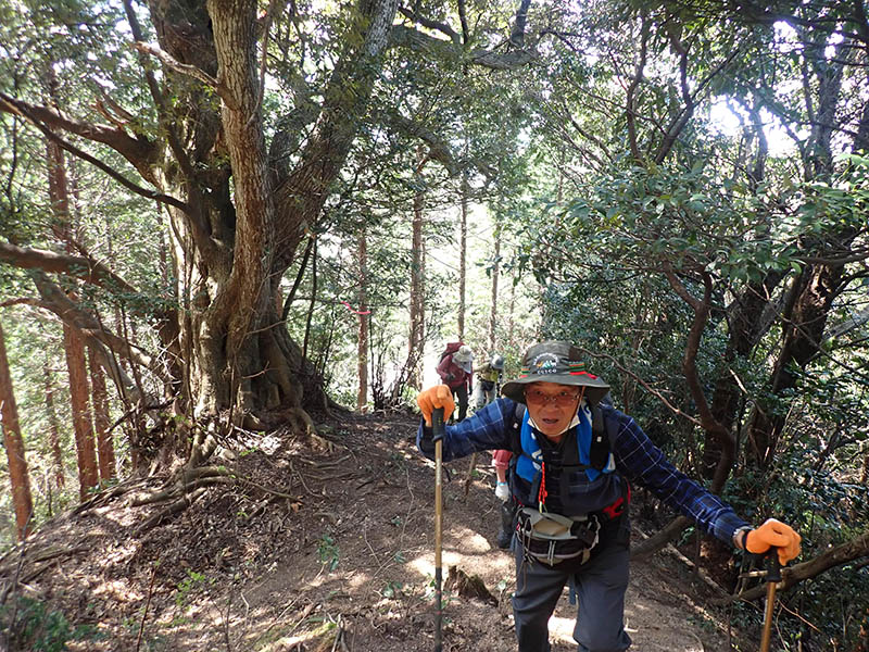 3.�X�_�W�C�̋���