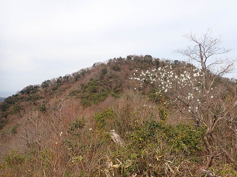 6.�����R416m