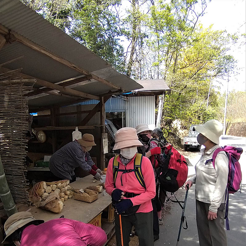 ���x�^�P�m�R�w��