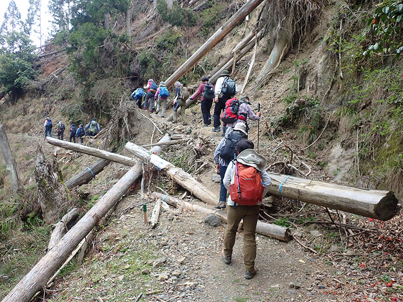 3.����n���z����