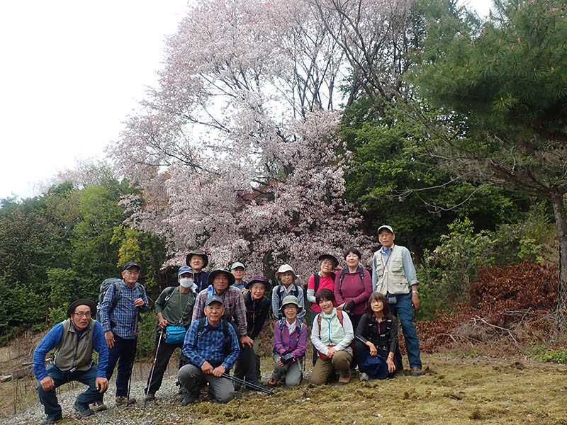 4.���}�U�N���̉���