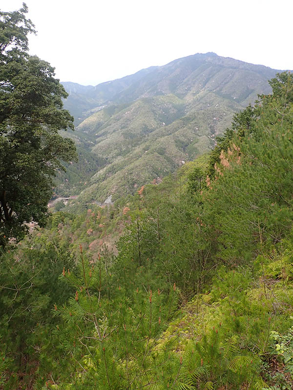 5.�����R���]