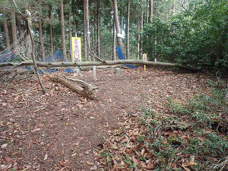 6.�R�オ��i�k�����R�j