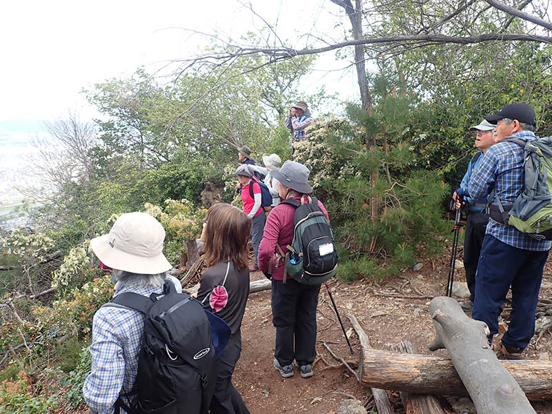 7.�s���𒭂߂�