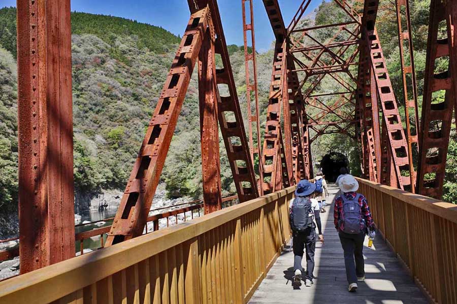 5.������n��