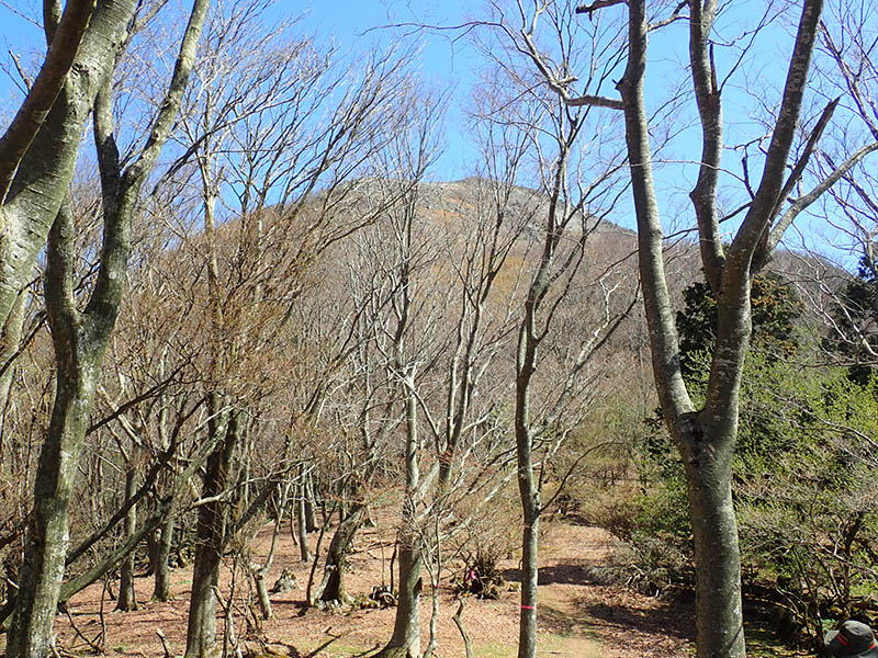 3.�������ߍ]�W�]���]��