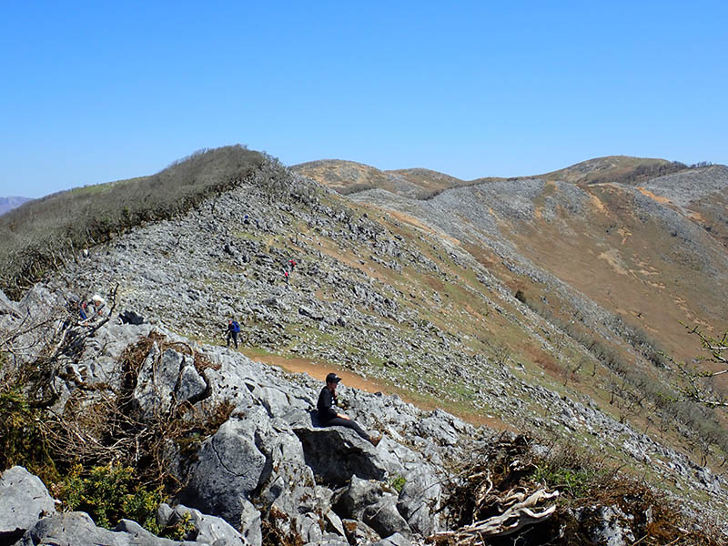 5.�ߍ]�W�]������R��]��