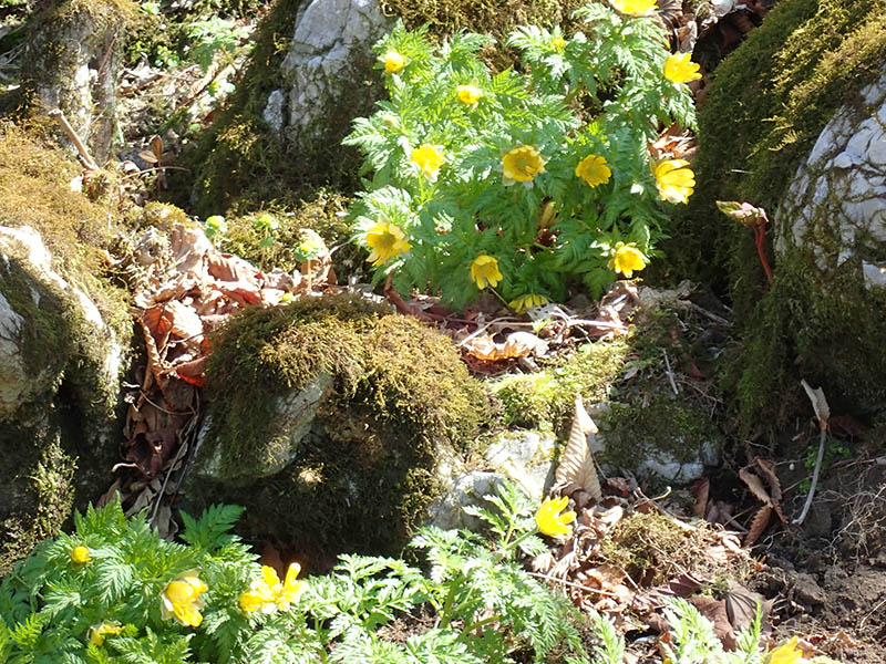 6.�������P