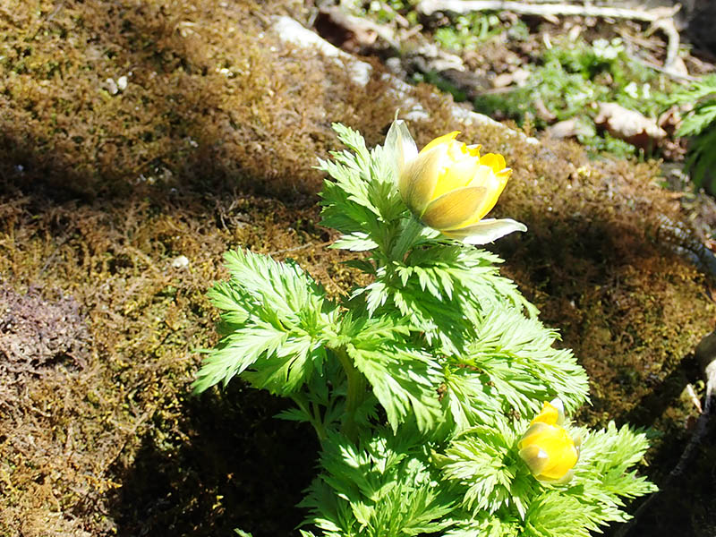 7.�������Q