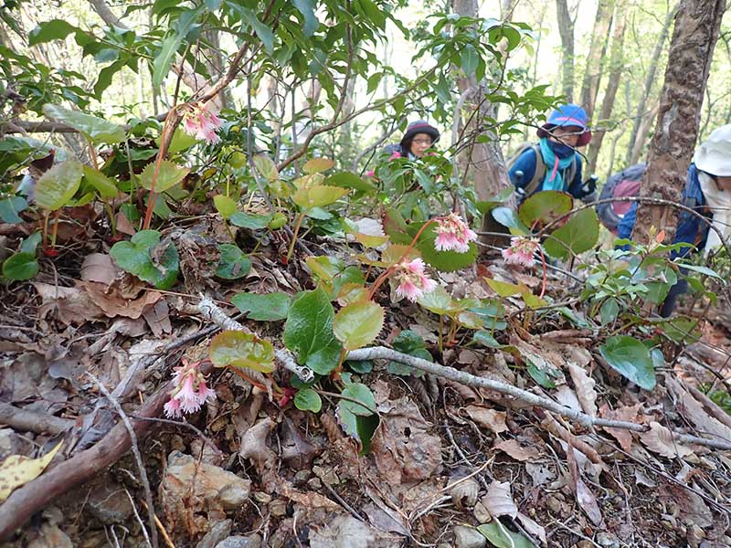 2.�C���J�K�~�炭�o�R��