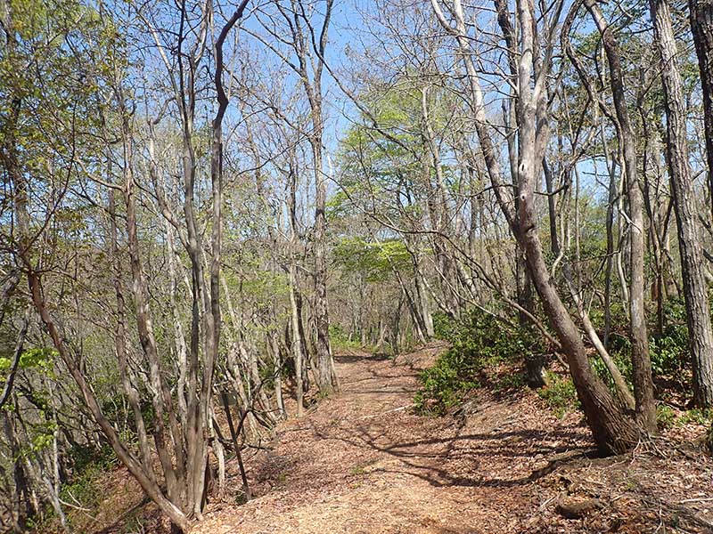 3.�o�V�΂����铹