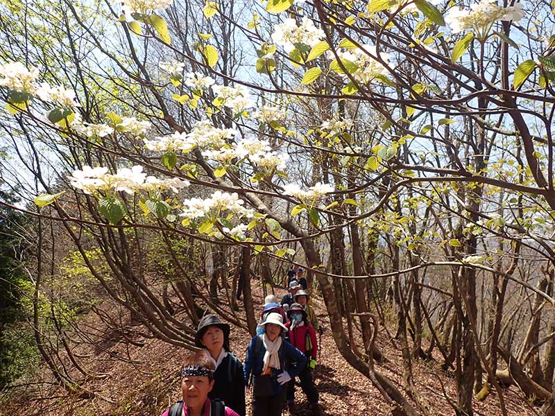 4.�I�I�J���m�L