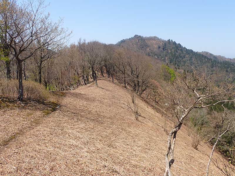 5.�R������