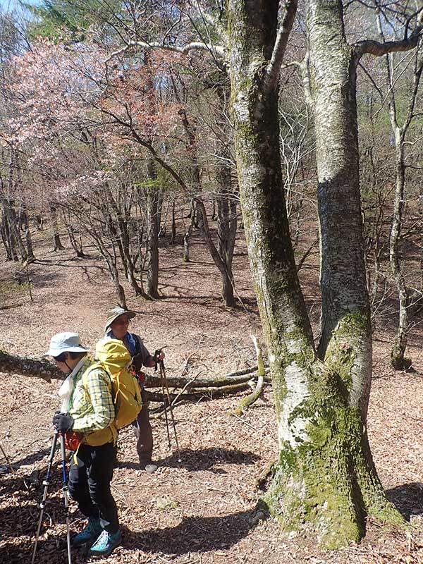 9.�~�Y���̖�