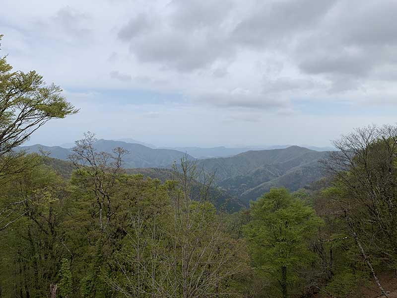 1.���ɂイ������