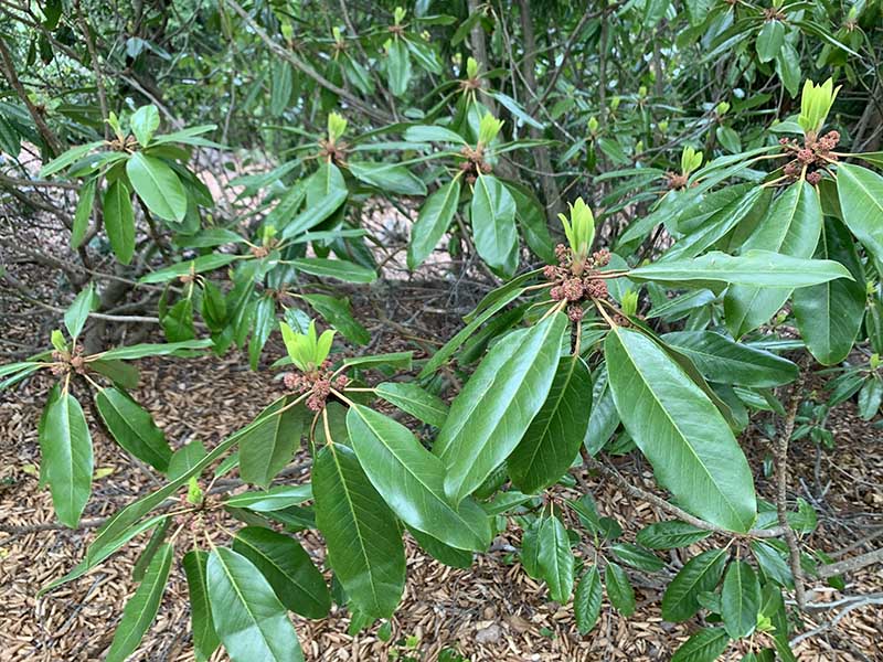 10.���Y���n